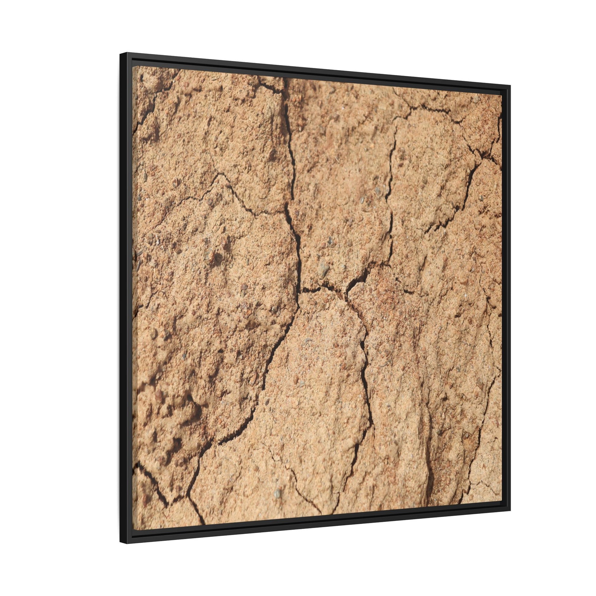 Parched Land - Unique Stretched Canvas Wall Art - Art By Earth