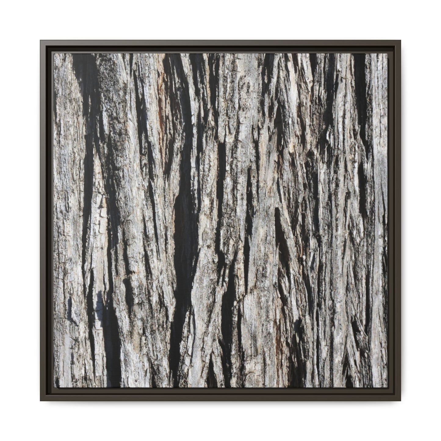 Bark Lines - Unique Stretched Canvas Wall Art - Art By Earth