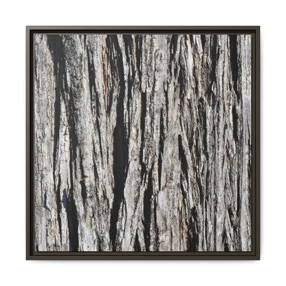 Bark Lines - Unique Stretched Canvas Wall Art - Art By Earth