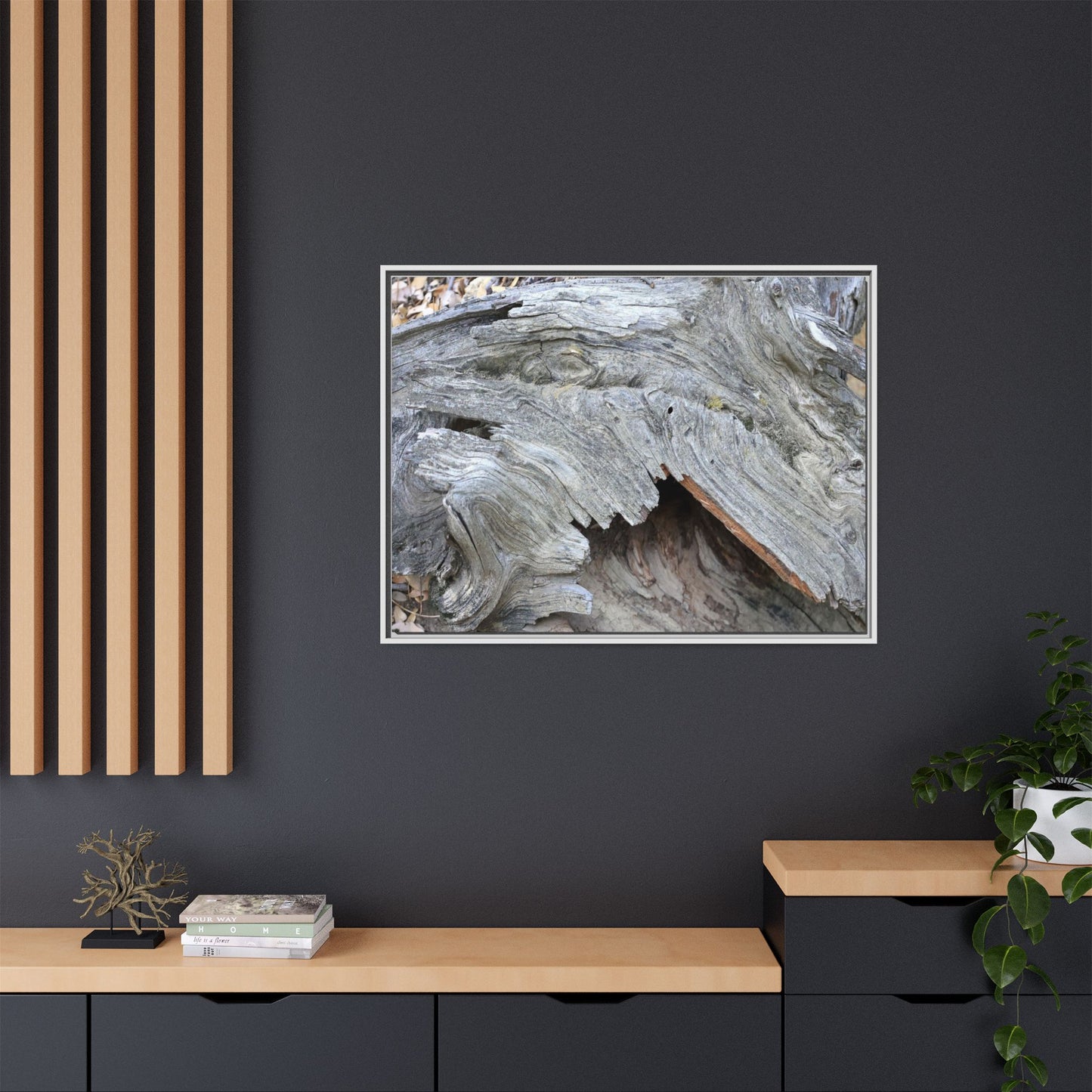 Driftwood Dreams - Unique Stretched Canvas Wall Art - Art By Earth