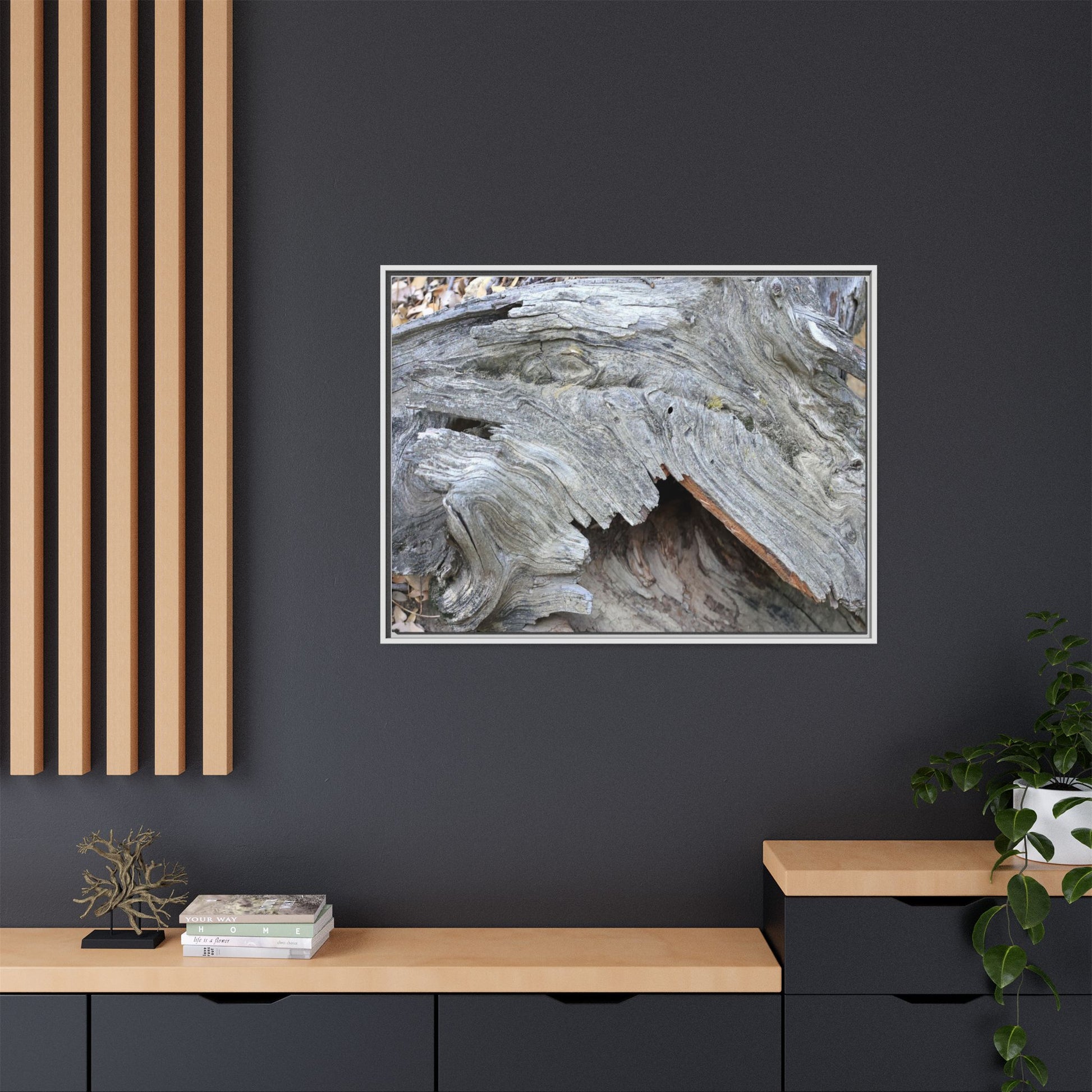 Driftwood Dreams - Unique Stretched Canvas Wall Art - Art By Earth