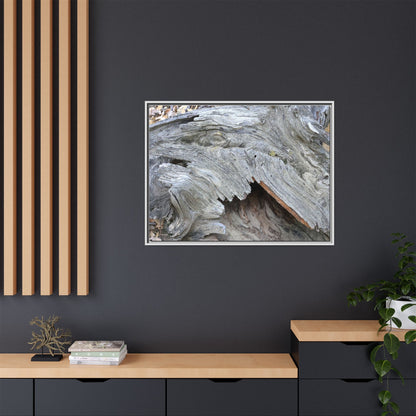 Driftwood Dreams - Unique Stretched Canvas Wall Art - Art By Earth