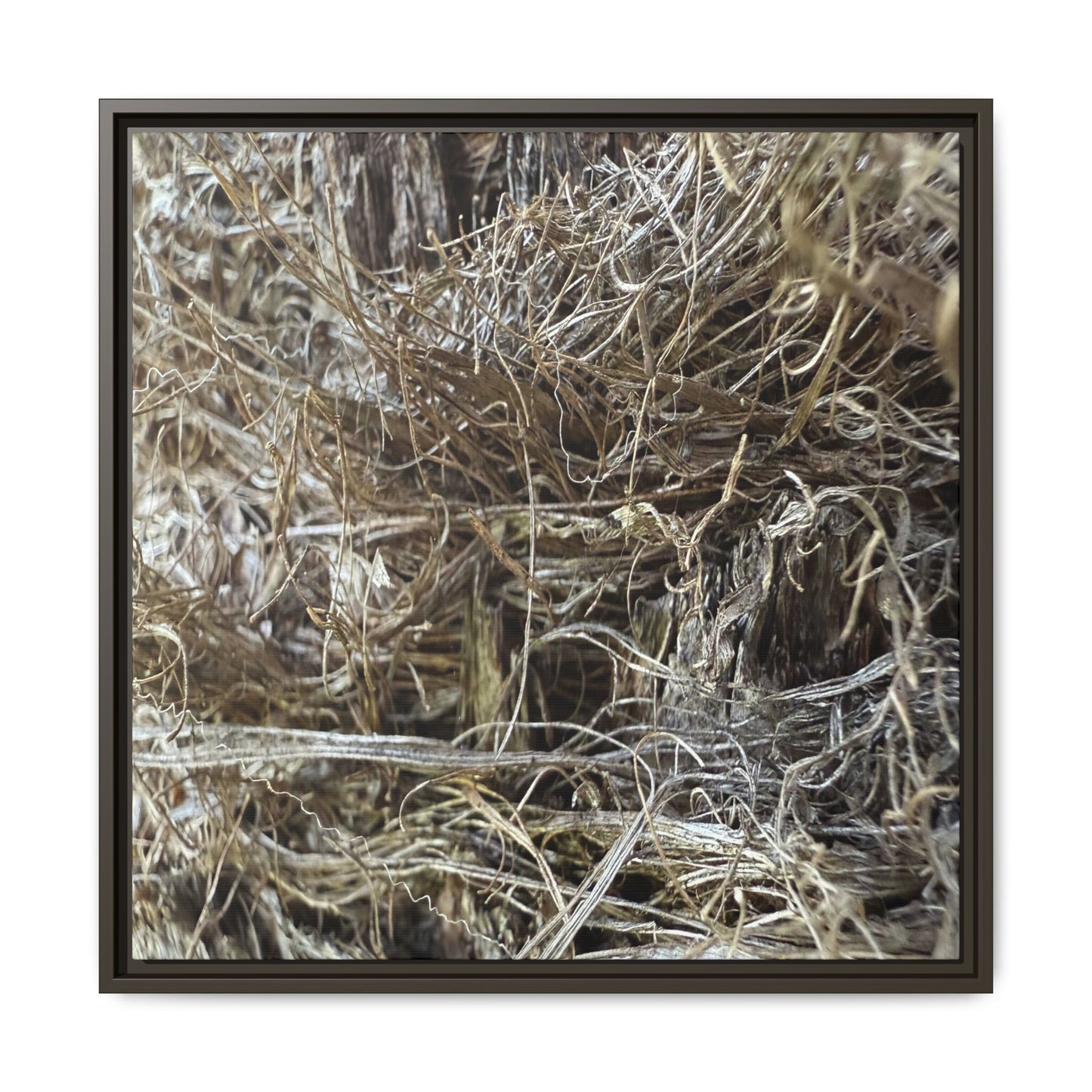 Tangled Whispers of Autumn - Unique Stretched Canvas Wall Art - Art By Earth