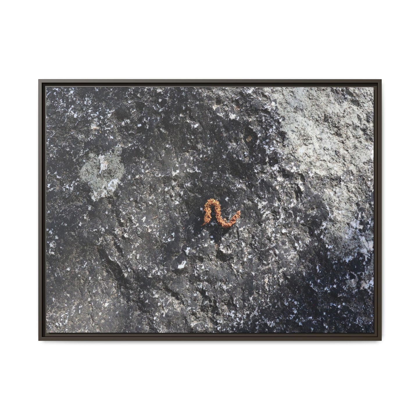 Volcanic Ash and Copper - Unique Stretched Canvas Wall Art - Art By Earth