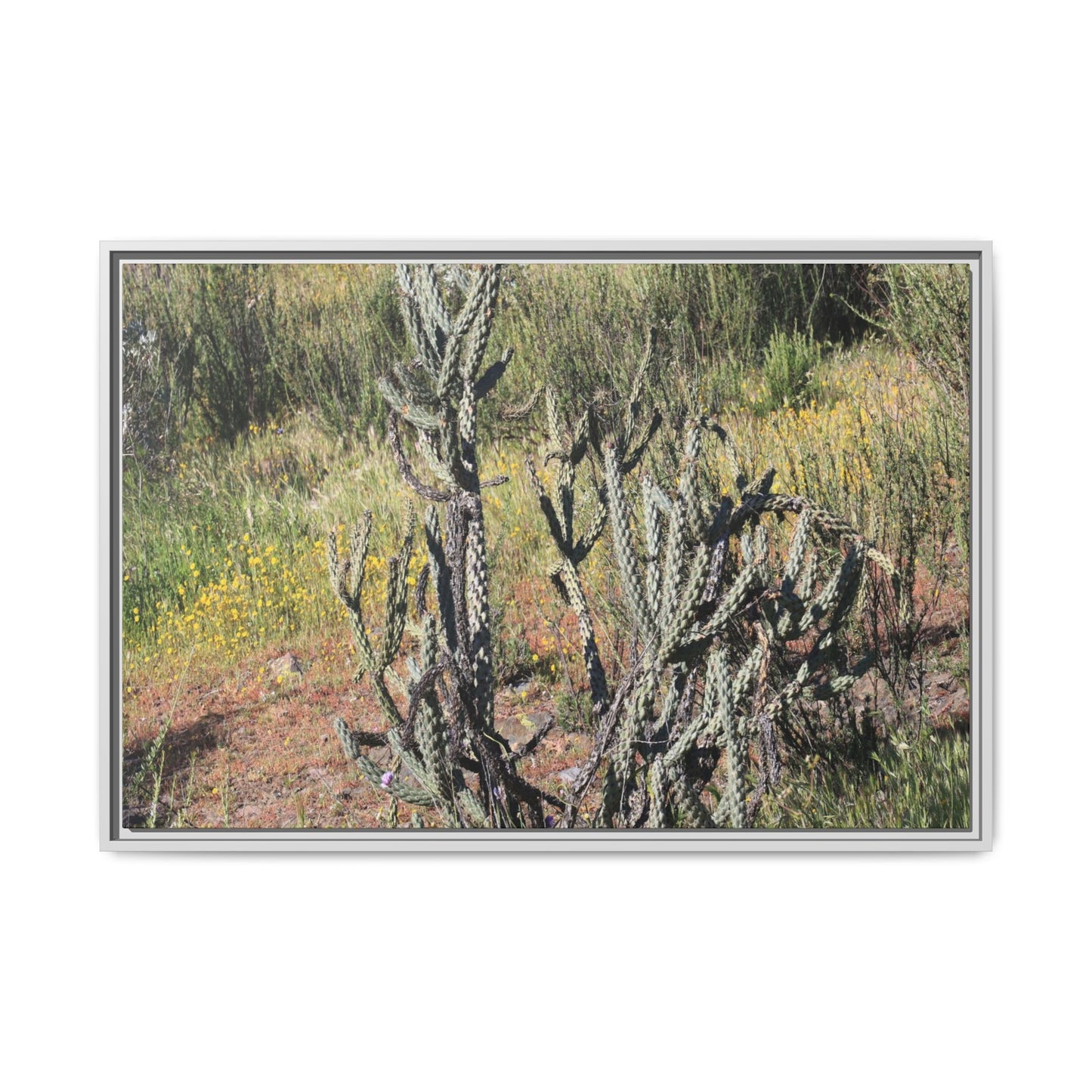 Wildflower Meadow - Unique Stretched Canvas Wall Art - Art By Earth