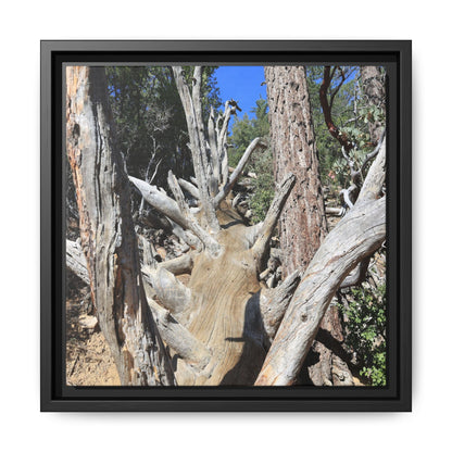 Forest Sentinels - Unique Stretched Canvas Wall Art
