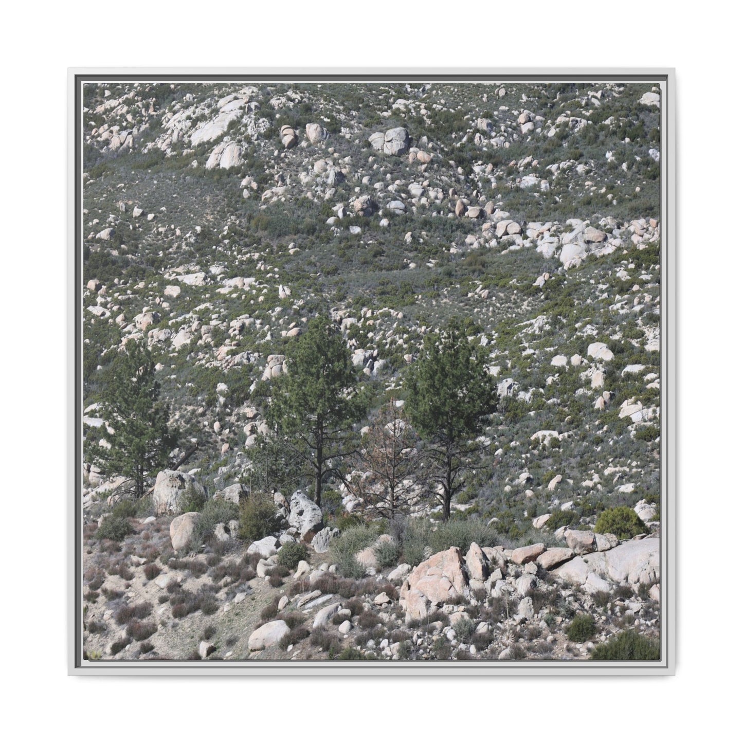 Rocky Hillside with Pine Trees - Unique Stretched Canvas Wall Art - Art By Earth