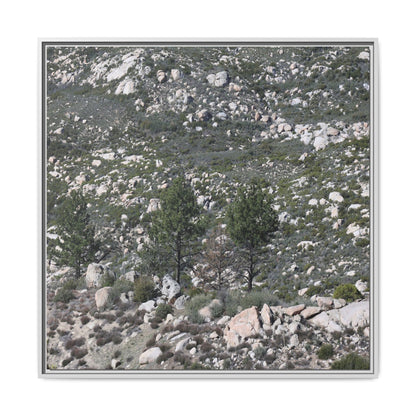 Rocky Hillside with Pine Trees - Unique Stretched Canvas Wall Art - Art By Earth