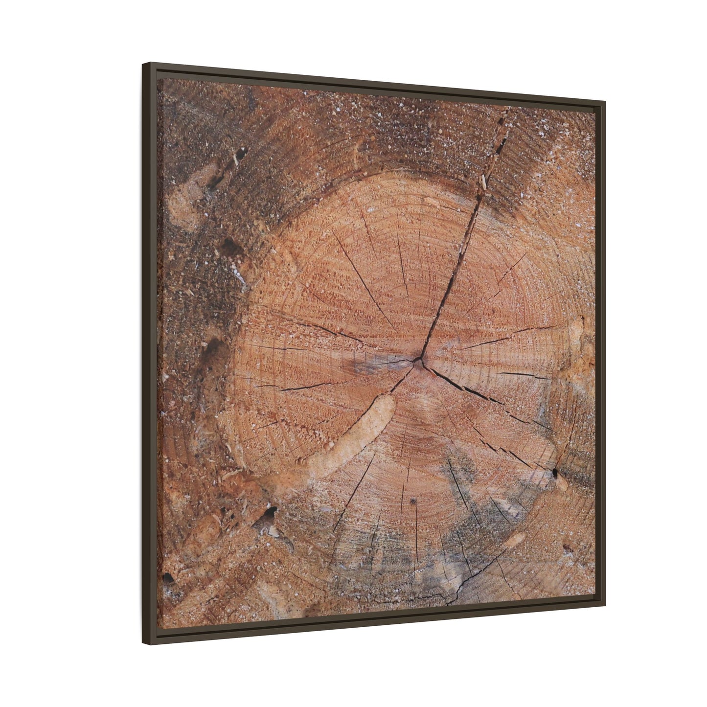 Concentric Memories - Unique Stretched Canvas Wall Art - Art By Earth