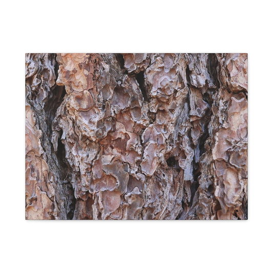 Rough Canvas - Unique Frameless Canvas Wall Art - Art By Earth