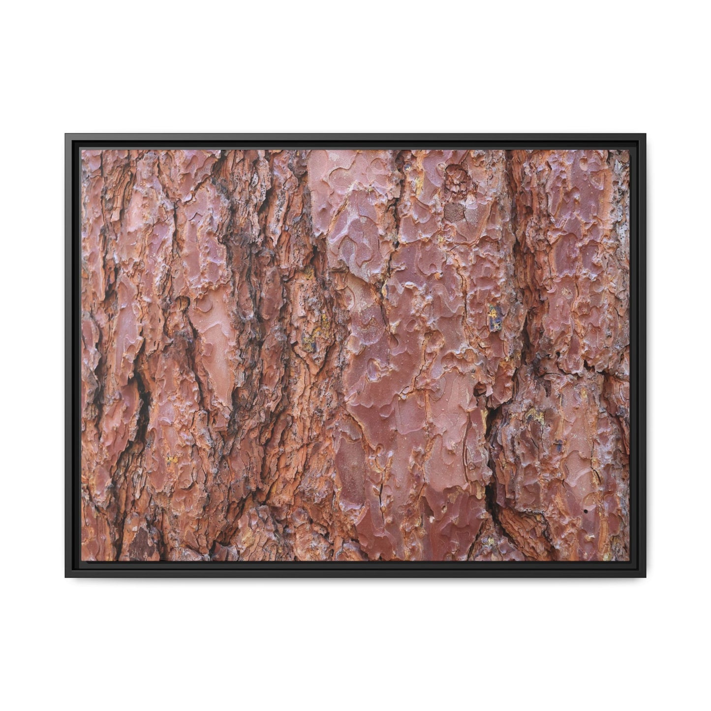 Russet Ridges - Unique Stretched Canvas Wall Art - Art By Earth