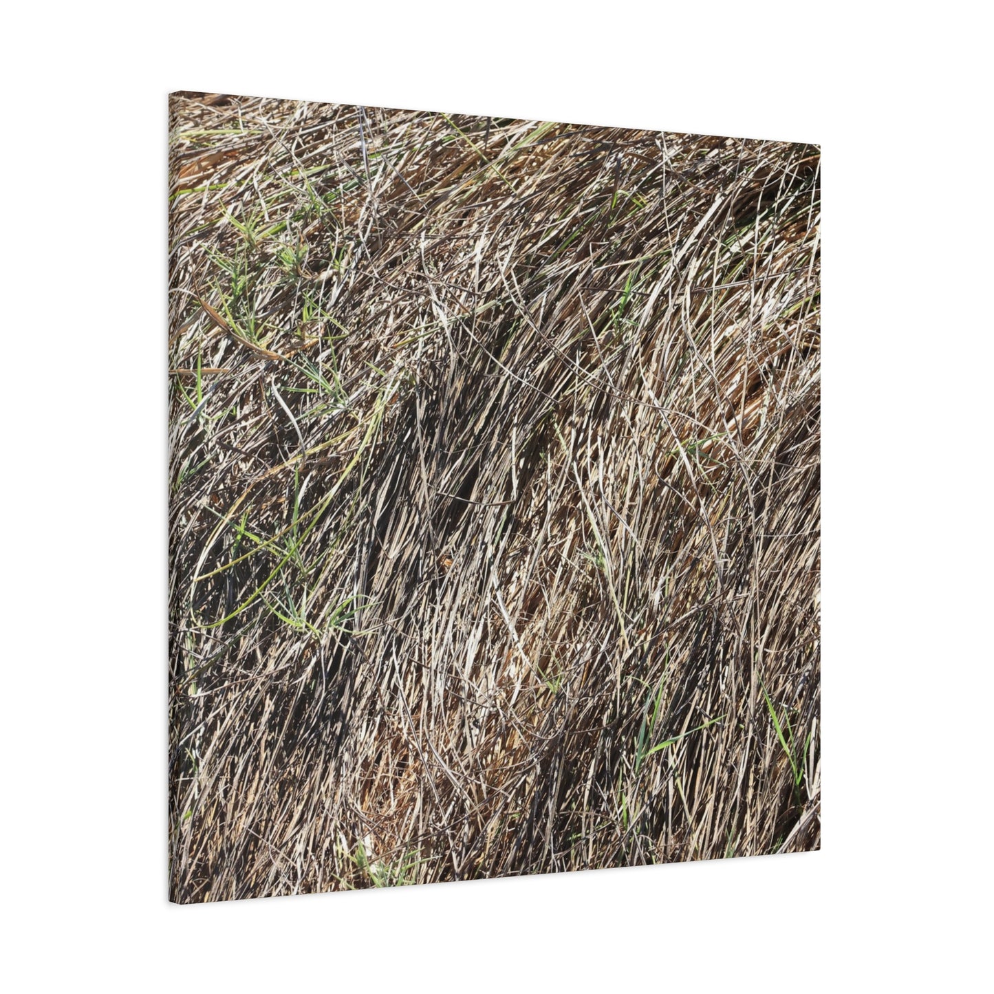 Tangled Wilderness - Unique Stretched Canvas Wall Art - Art By Earth
