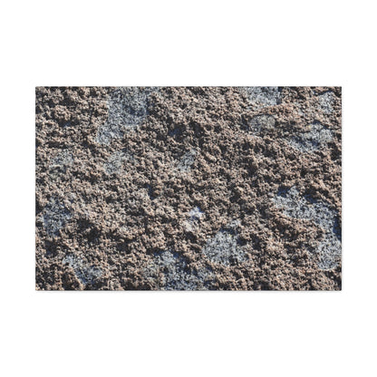 Soil and Stone - Unique Frameless Canvas Wall Art