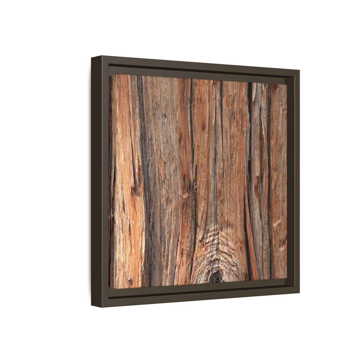 Echoes of Timber - Unique Stretched Canvas Wall Art - Art By Earth