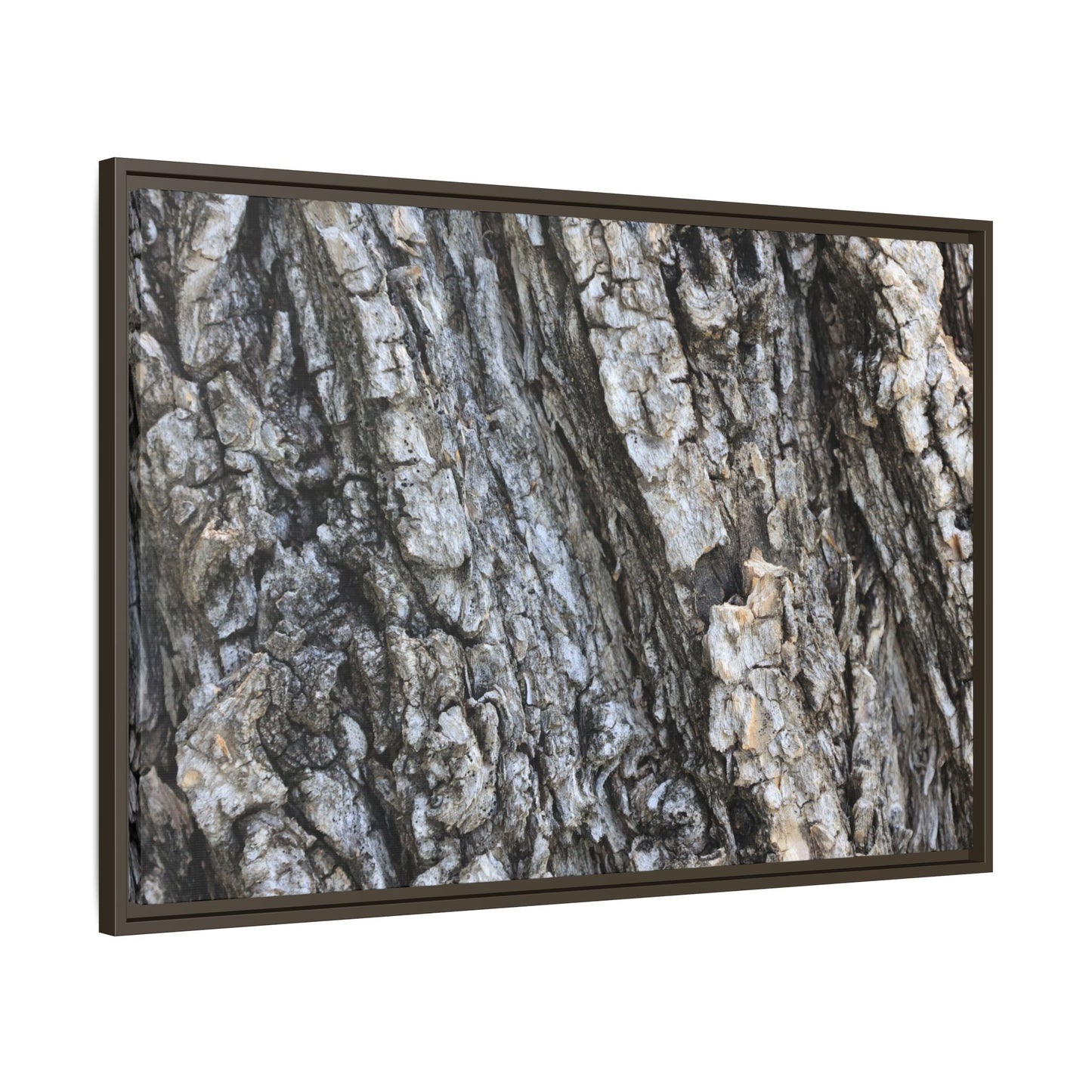 Twisted Textures - Unique Stretched Canvas Wall Art - Art By Earth