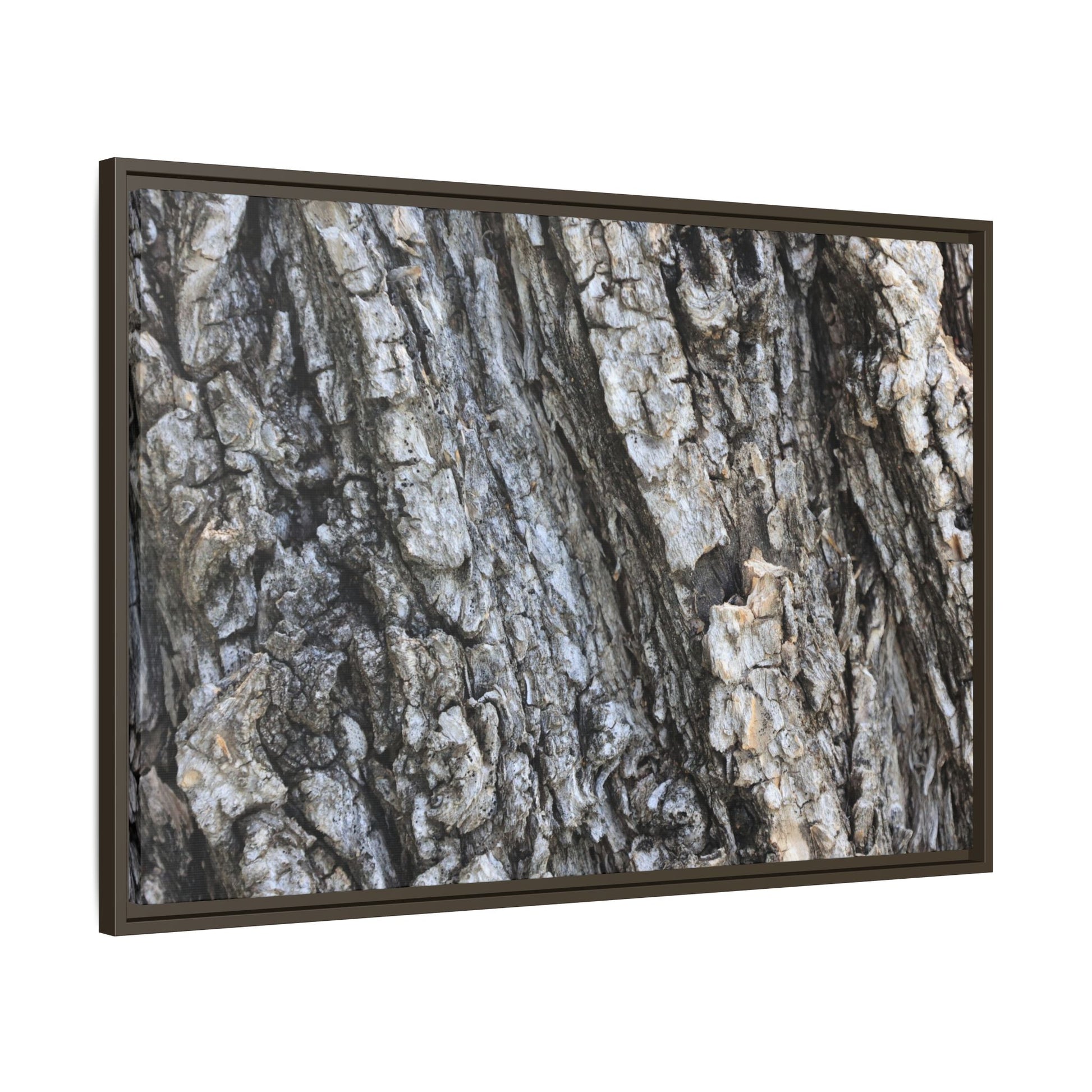 Twisted Textures - Unique Stretched Canvas Wall Art - Art By Earth