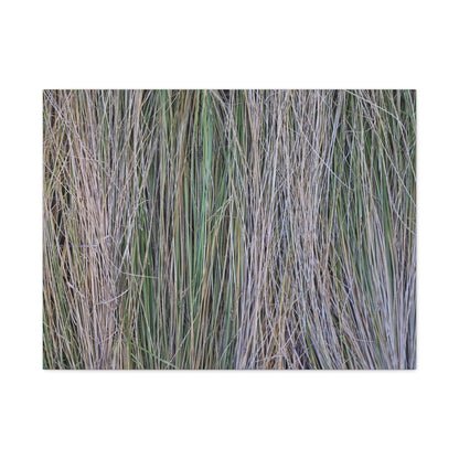 Whispers of Grass - Unique Frameless Canvas Wall Art - Art By Earth