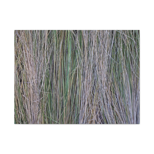 Whispers of Grass - Unique Frameless Canvas Wall Art - Art By Earth