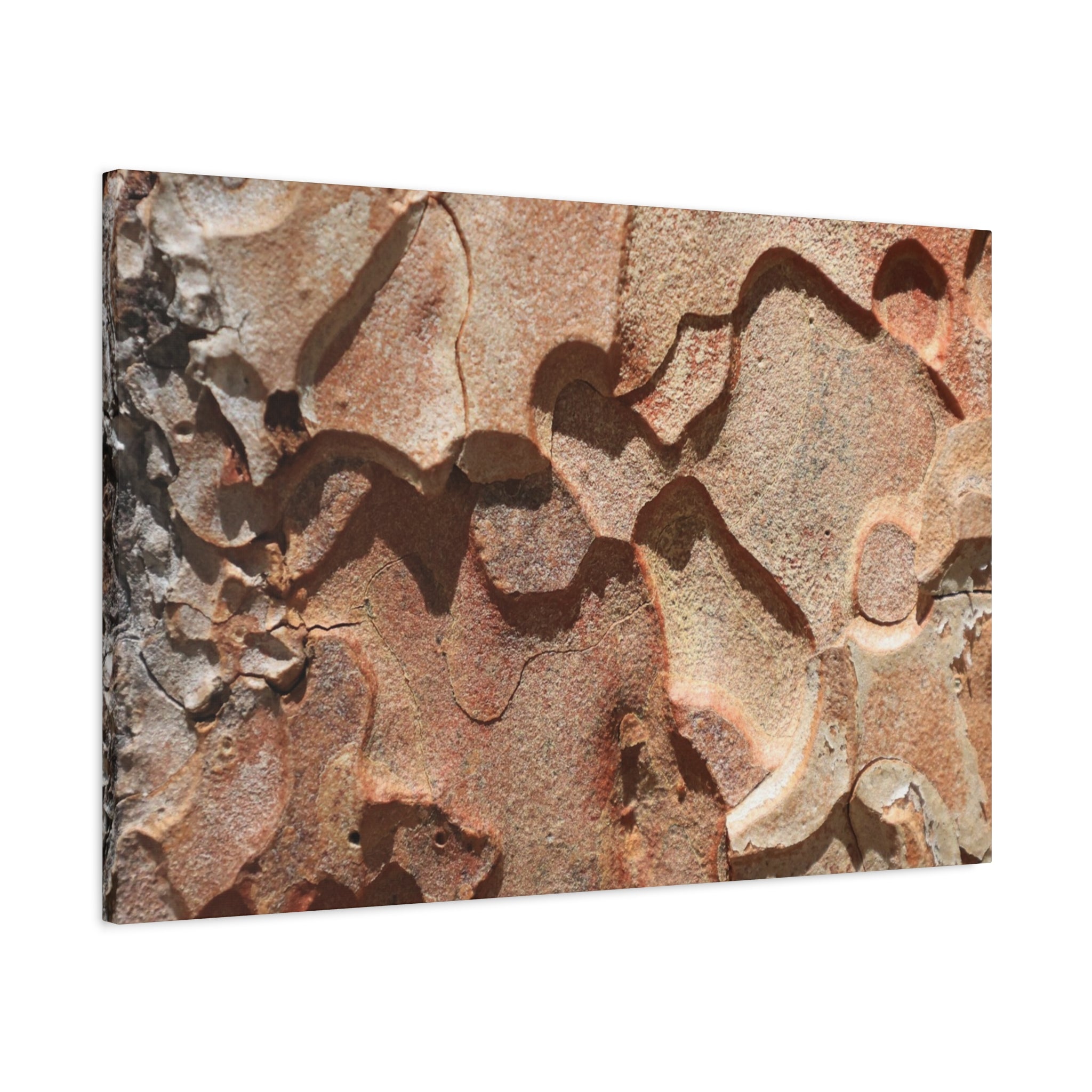 Terracotta Echoes - Unique Frameless Canvas Wall Art - Art By Earth