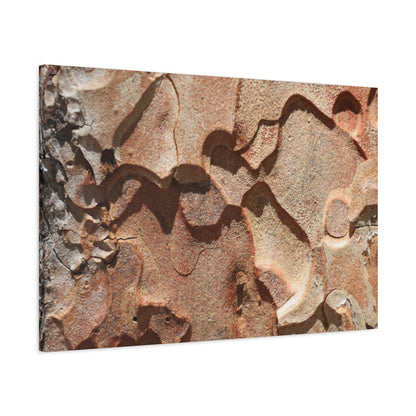 Terracotta Echoes - Unique Frameless Canvas Wall Art - Art By Earth