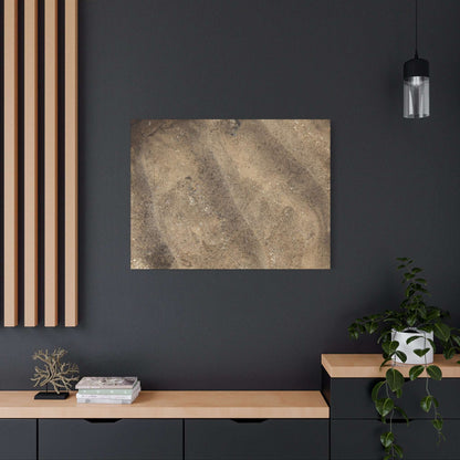 Shallow Waters - Unique Frameless Canvas Wall Art - Art By Earth