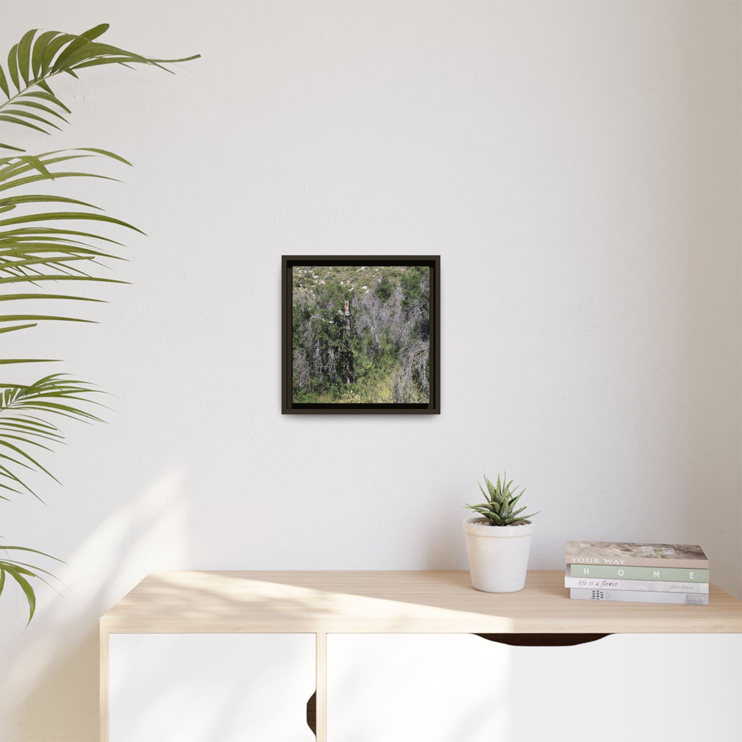 Forest Decline - Unique Stretched Canvas Wall Art