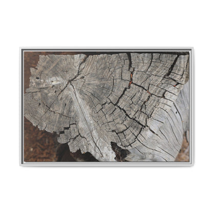 Time's Signature - Unique Stretched Canvas Wall Art - Art By Earth