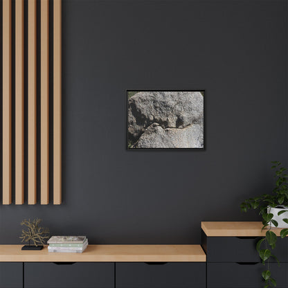 Stone Skull in Desert - Unique Stretched Canvas Wall Art
