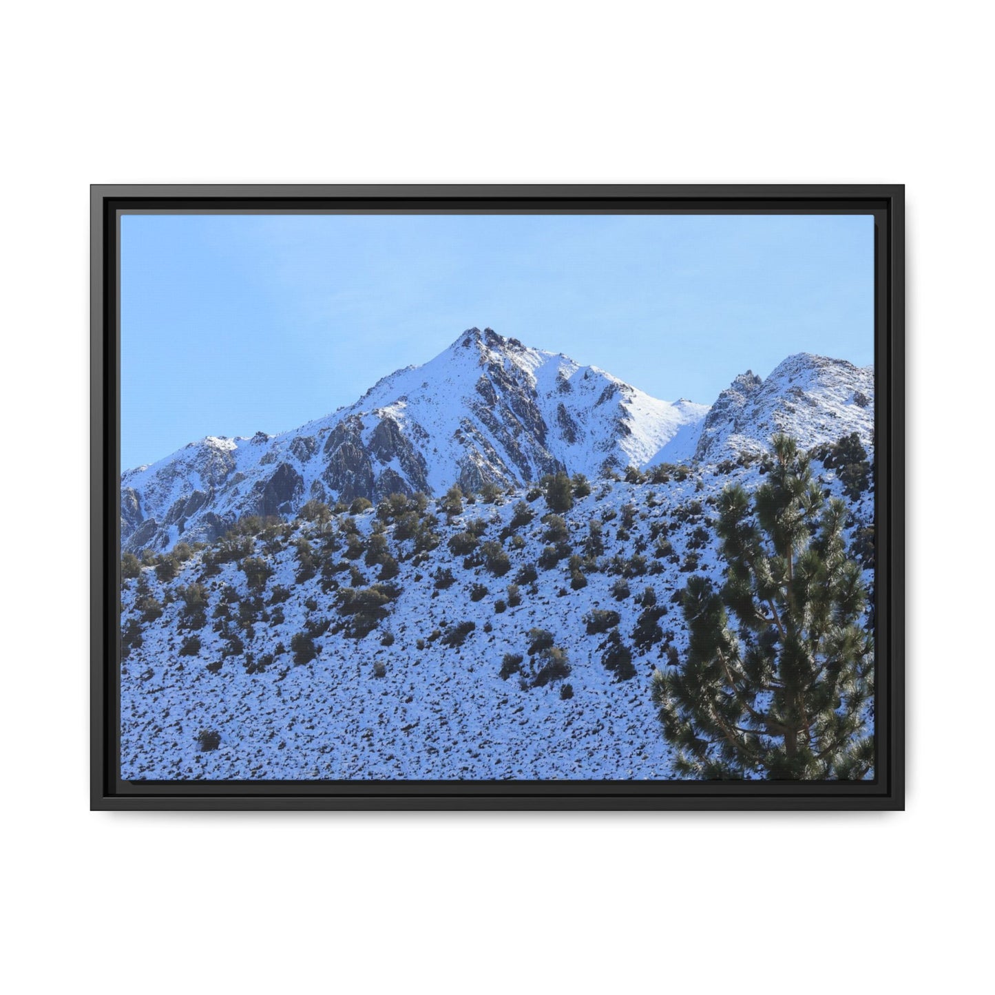 Snow's Embrace - Unique Stretched Canvas Wall Art
