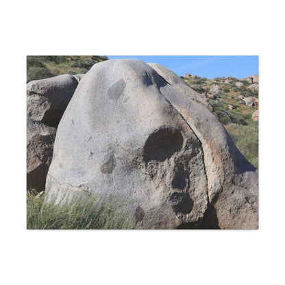 Skull Rock - Unique Frameless Canvas Wall Art - Art By Earth