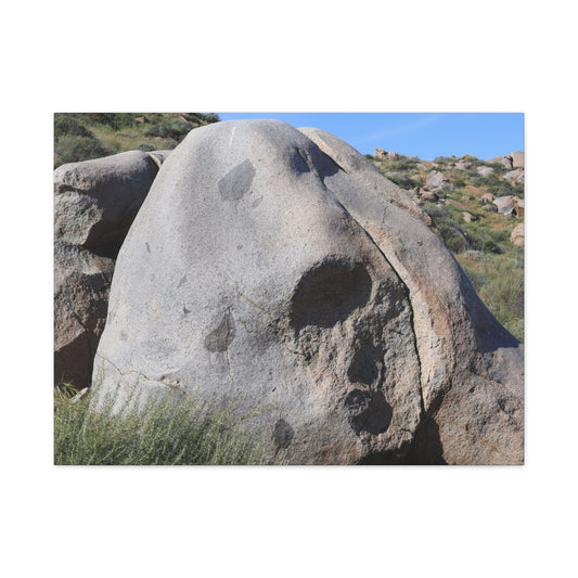 Skull Rock - Unique Frameless Canvas Wall Art - Art By Earth