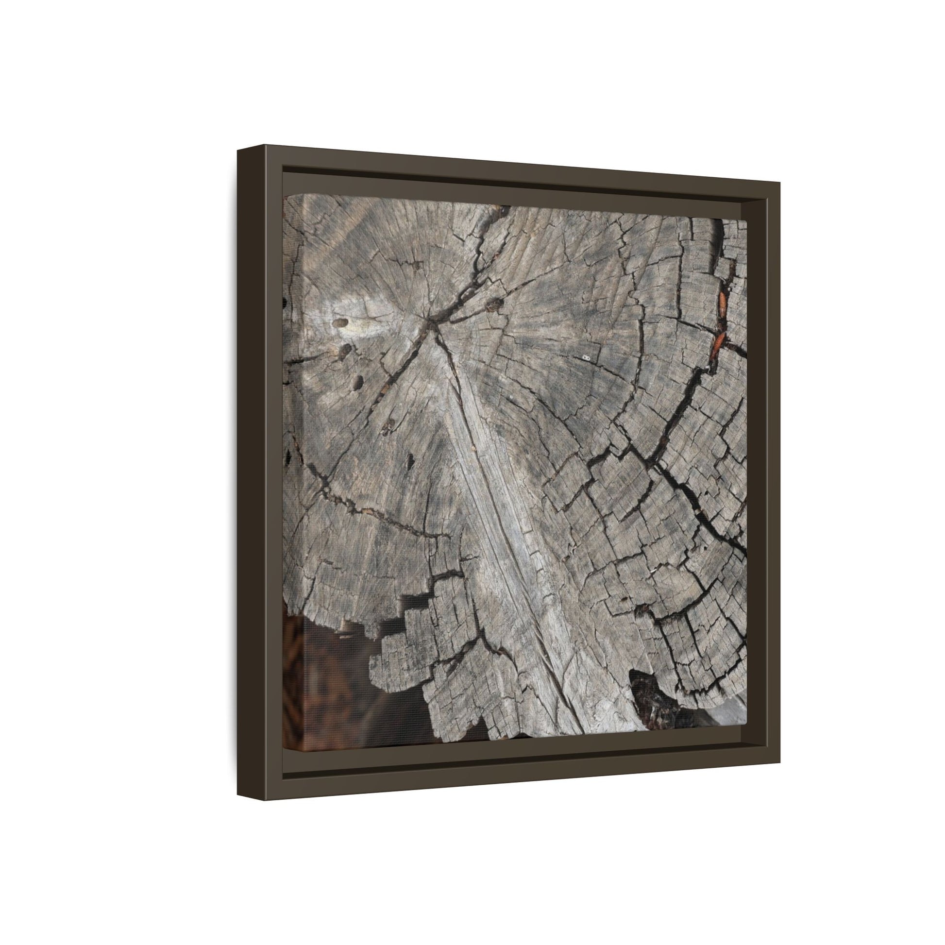 Time's Signature - Unique Stretched Canvas Wall Art - Art By Earth