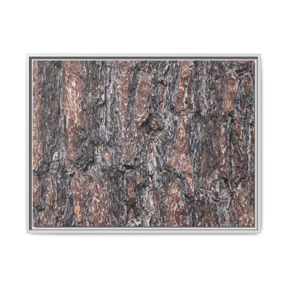 Echoes of Wood - Unique Stretched Canvas Wall Art