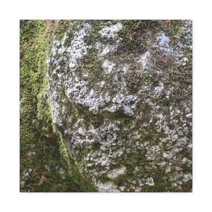 Moss and Stone Whispers - Unique Frameless Canvas Wall Art - Art By Earth