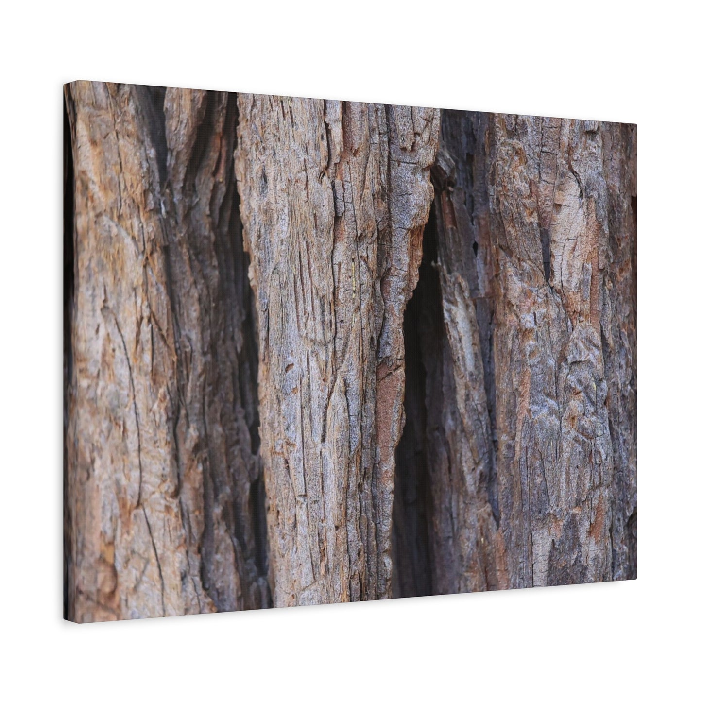 Fractal Skin - Unique Frameless Canvas Wall Art - Art By Earth