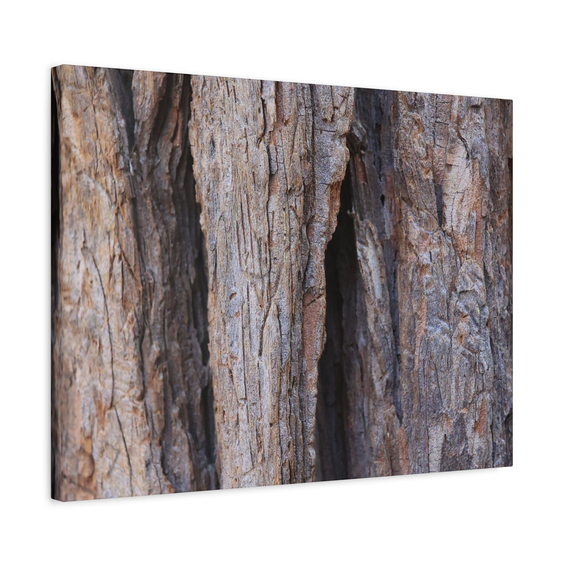 Fractal Skin - Unique Frameless Canvas Wall Art - Art By Earth