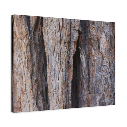 Fractal Skin - Unique Frameless Canvas Wall Art - Art By Earth