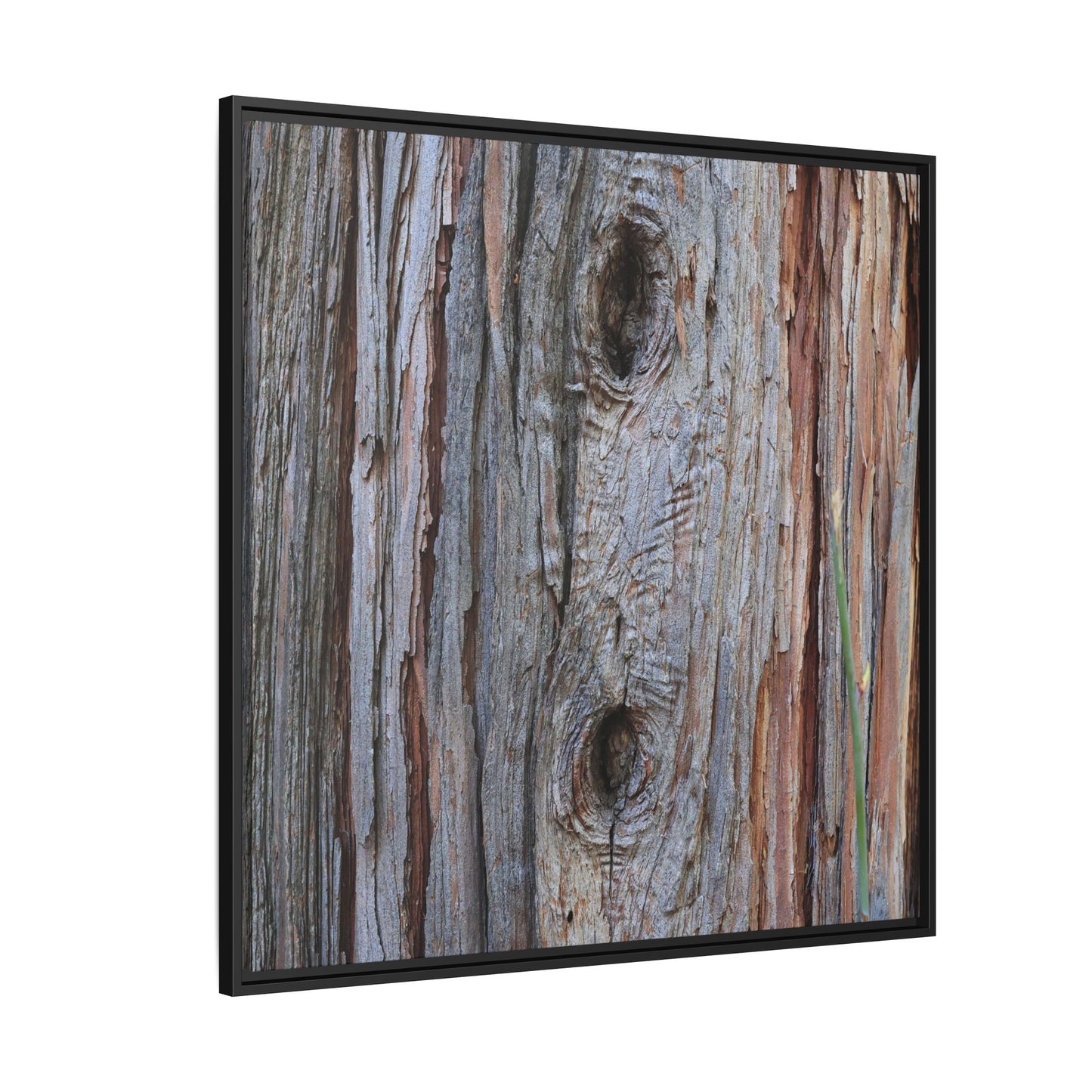 Knotty Nature - Unique Stretched Canvas Wall Art - Art By Earth