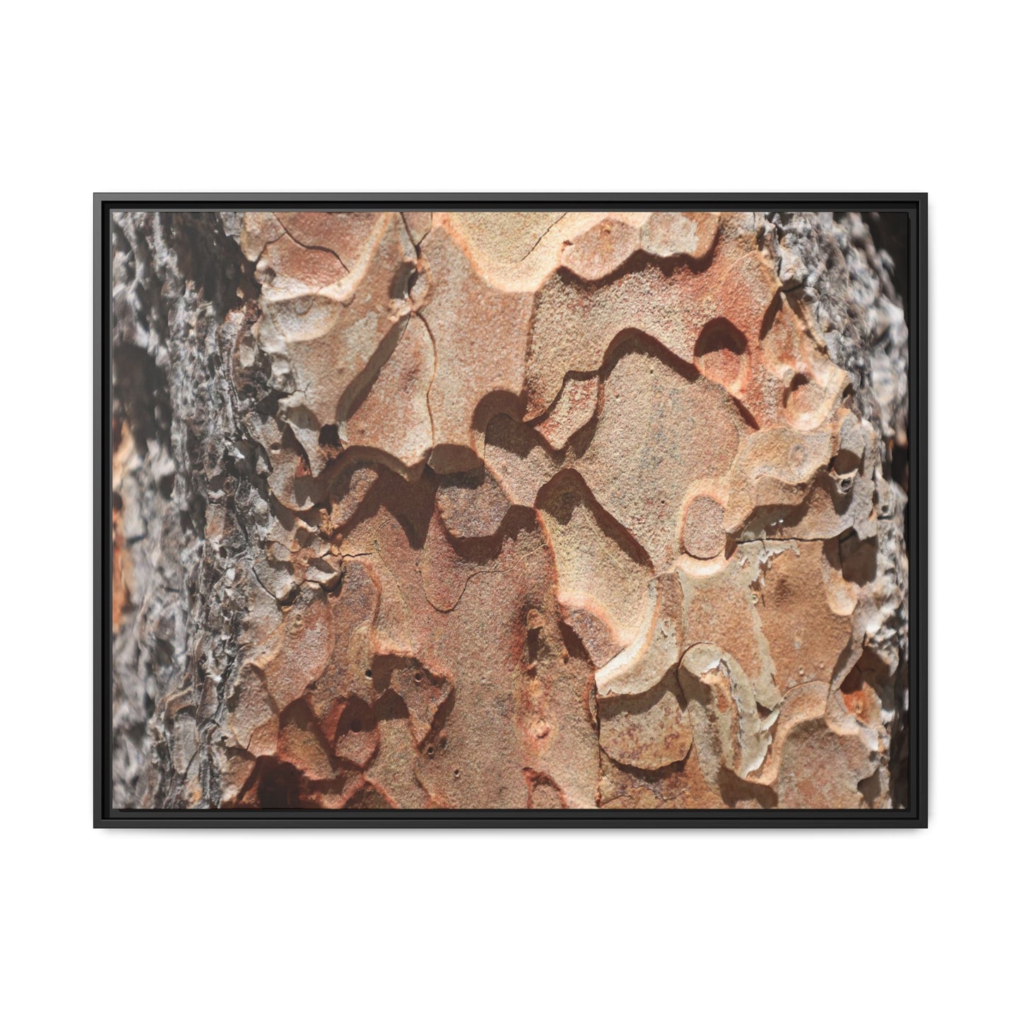 Rust and Stone - Unique Stretched Canvas Wall Art - Art By Earth