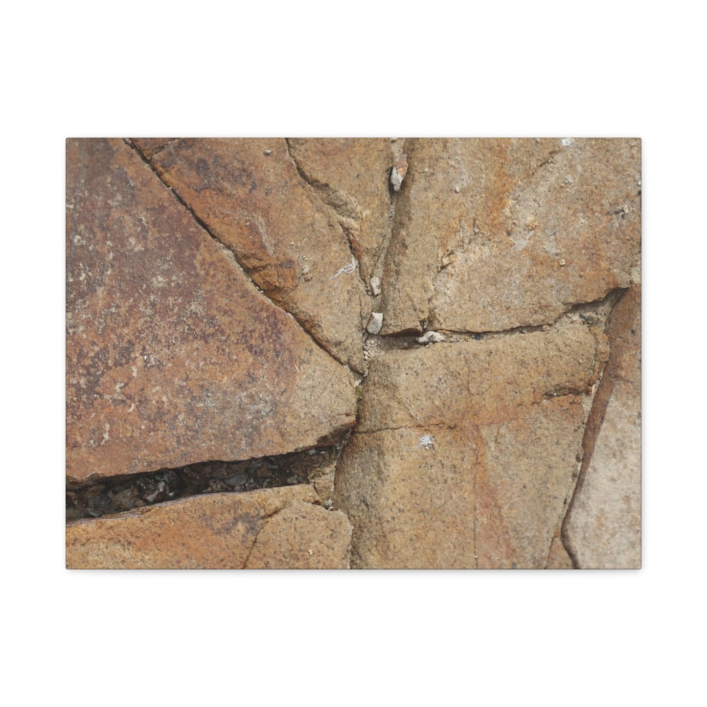 Cracked Earth's Canvas - Unique Frameless Canvas Wall Art - Art By Earth