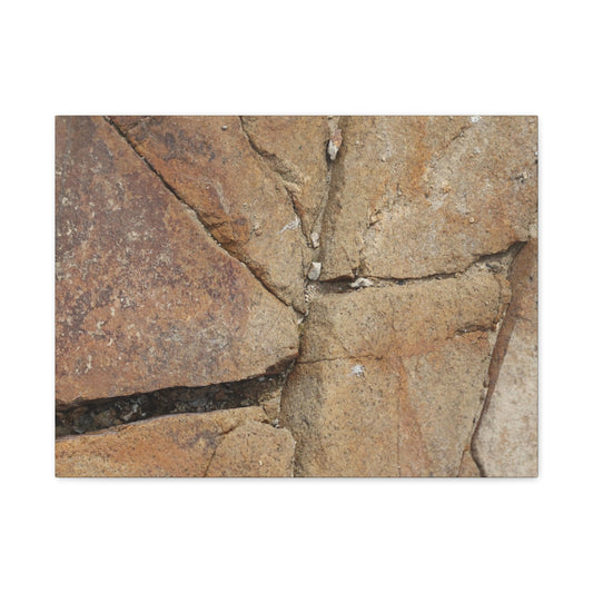 Cracked Earth's Canvas - Unique Frameless Canvas Wall Art - Art By Earth
