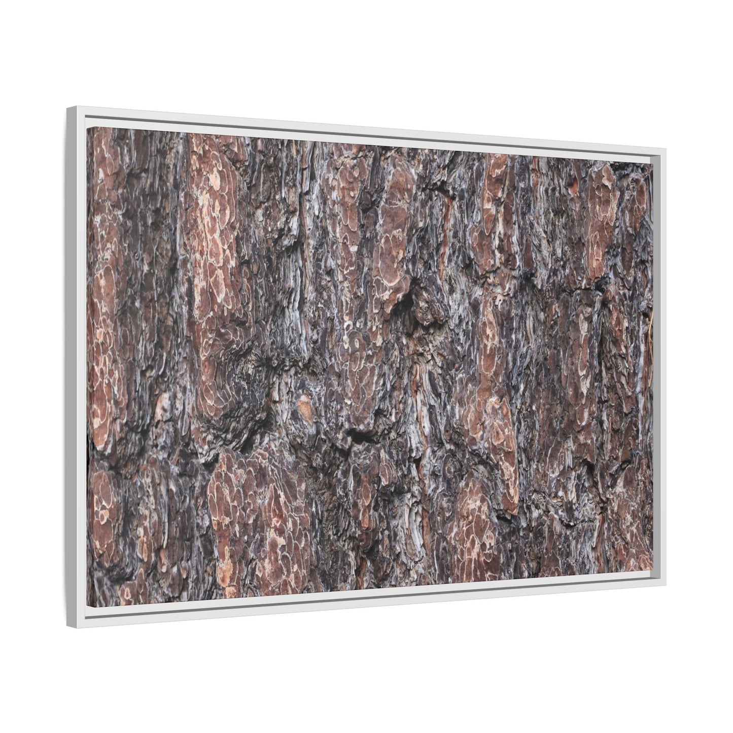 Echoes of Wood - Unique Stretched Canvas Wall Art