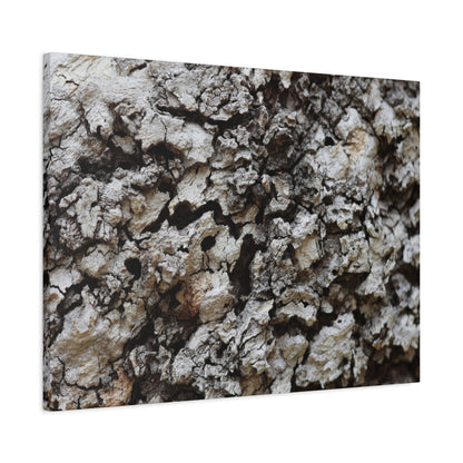 Cracked Earth Tapestry - Unique Frameless Canvas Wall Art - Art By Earth