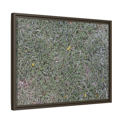 Grassy Texture - Unique Stretched Canvas Wall Art - Art By Earth