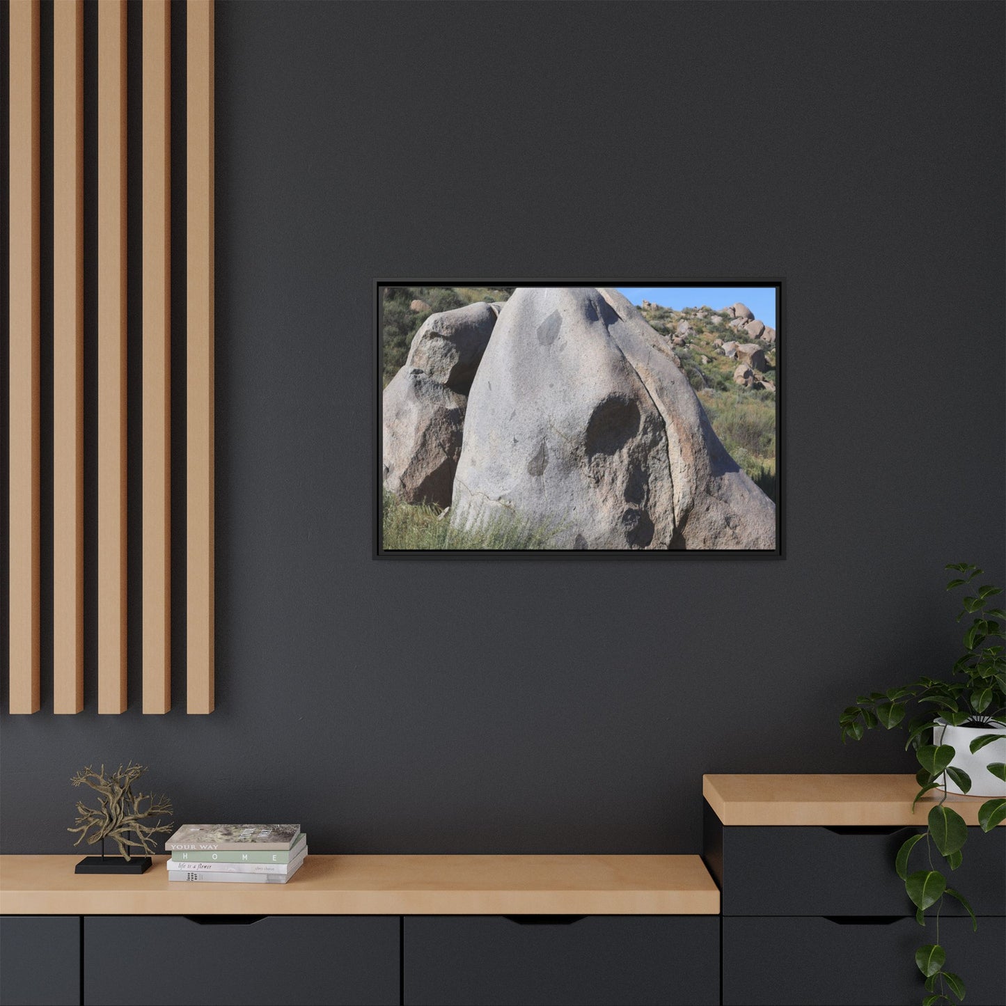 Skull Rock Desert - Unique Stretched Canvas Wall Art - Art By Earth