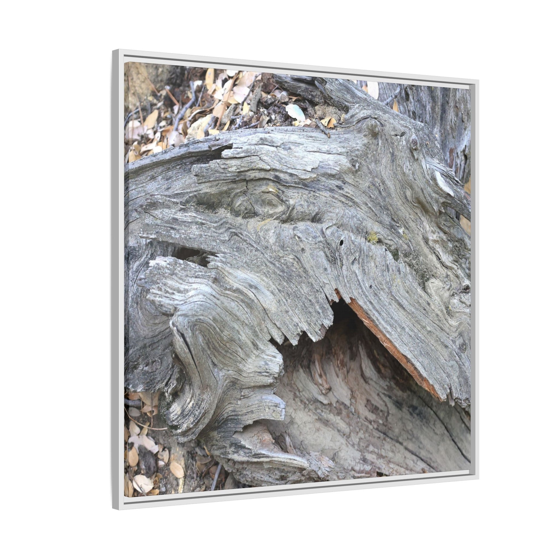 Driftwood Dreams - Unique Stretched Canvas Wall Art - Art By Earth