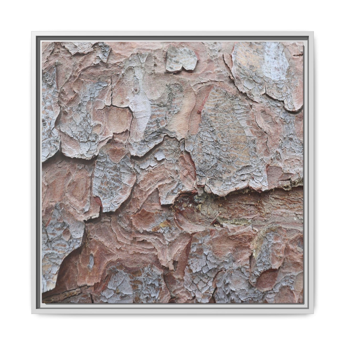 Flaking Serenity - Unique Stretched Canvas Wall Art - Art By Earth