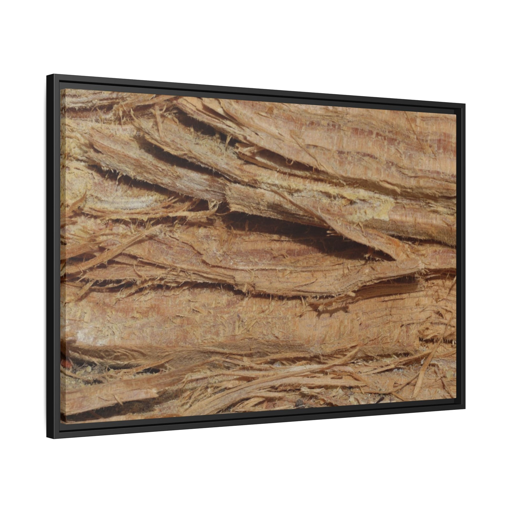 Splintered Bark - Unique Stretched Canvas Wall Art - Art By Earth