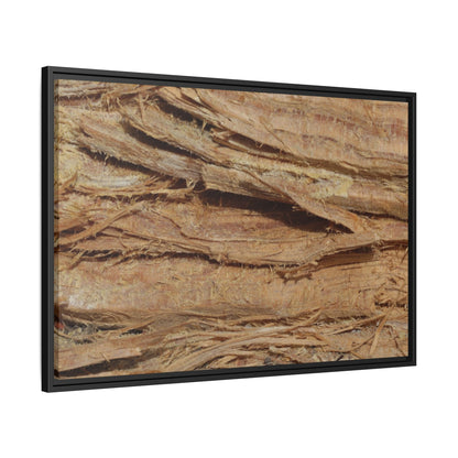 Splintered Bark - Unique Stretched Canvas Wall Art - Art By Earth