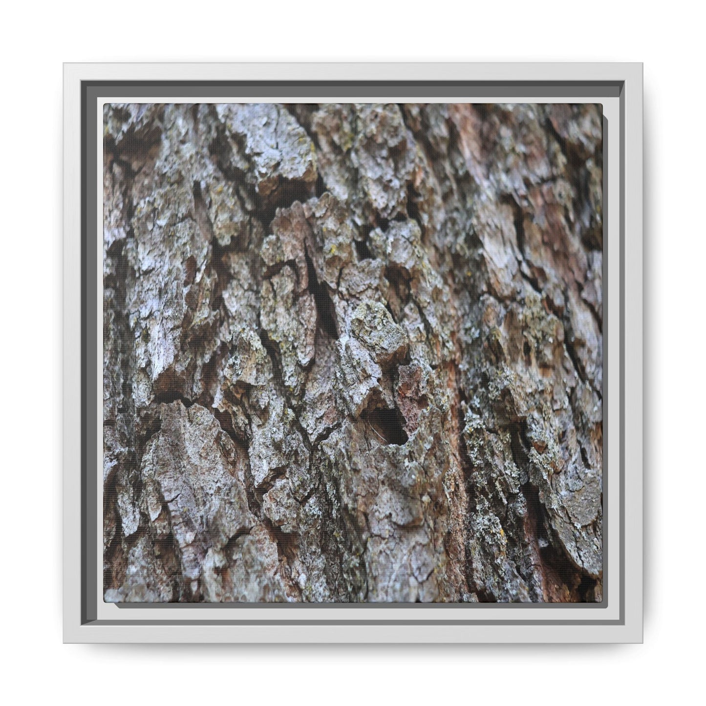 Woodland Canvas - Unique Stretched Canvas Wall Art - Art By Earth